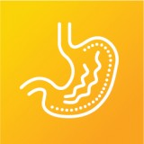 Gut Health